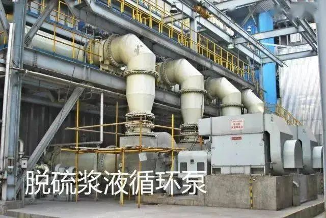 尊时凯龙·(中国区)人生就是搏