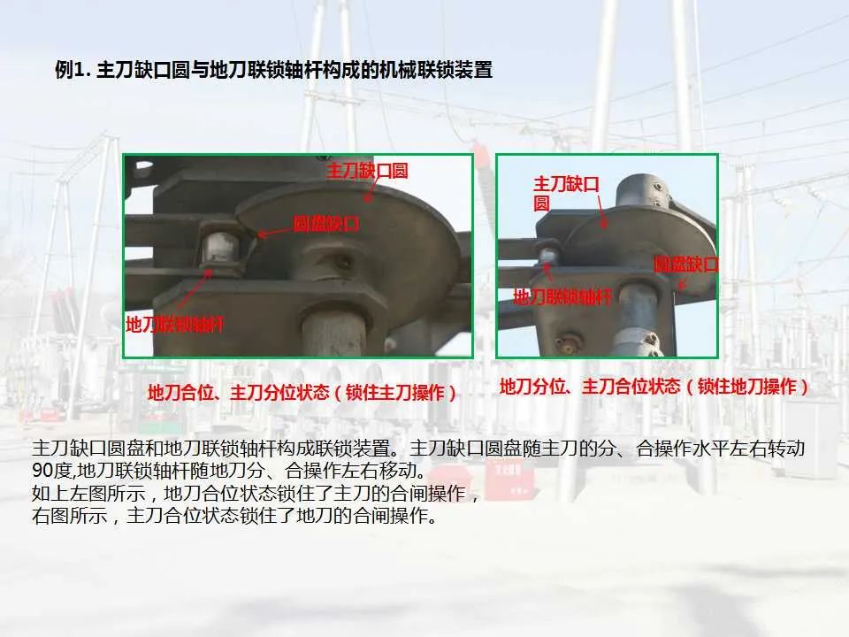 尊时凯龙·(中国区)人生就是搏