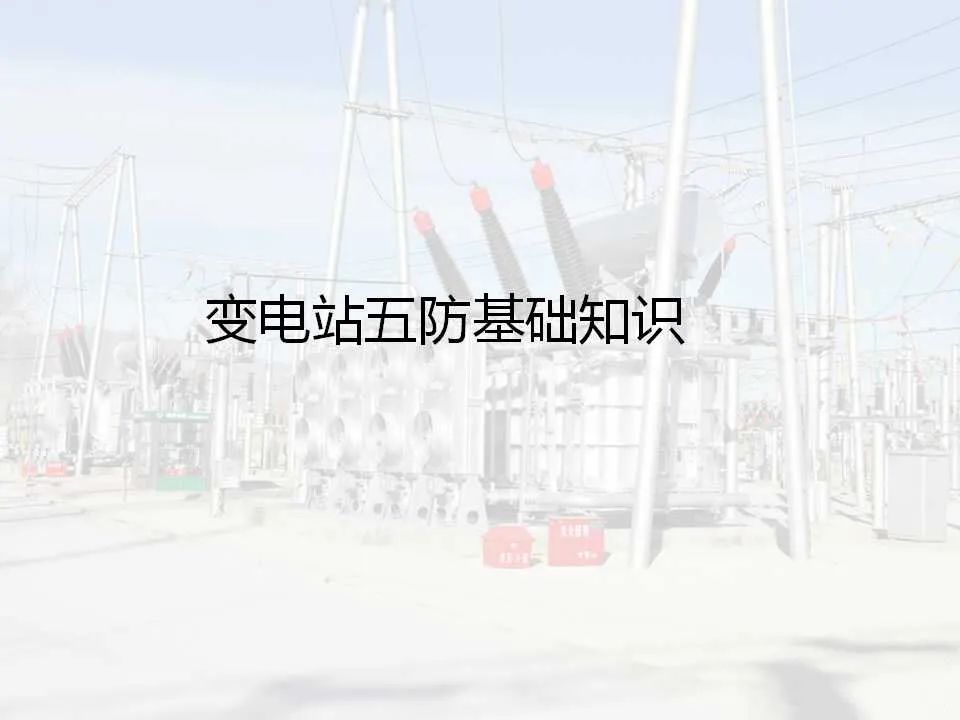 尊时凯龙·(中国区)人生就是搏
