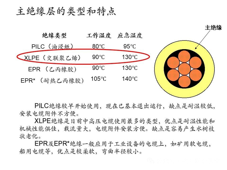 尊时凯龙·(中国区)人生就是搏