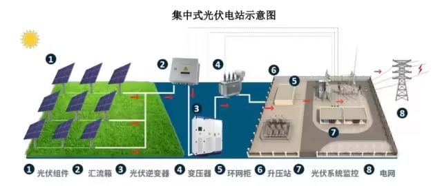 尊时凯龙·(中国区)人生就是搏