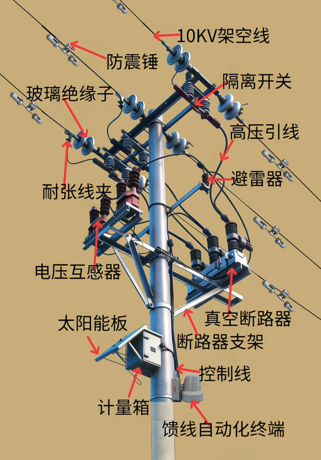 尊时凯龙·(中国区)人生就是搏